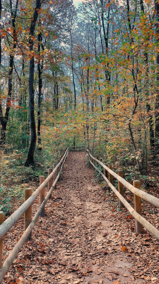 Beginner Hiker Moves: 10 Smart Ways to Survive Your First Trail