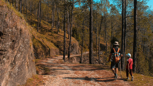 Why Hike at All? 8 Surprising Reasons We Should